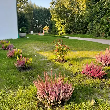 Appartamento Geraeumige Mit Terrasse Halle (Westfalen)