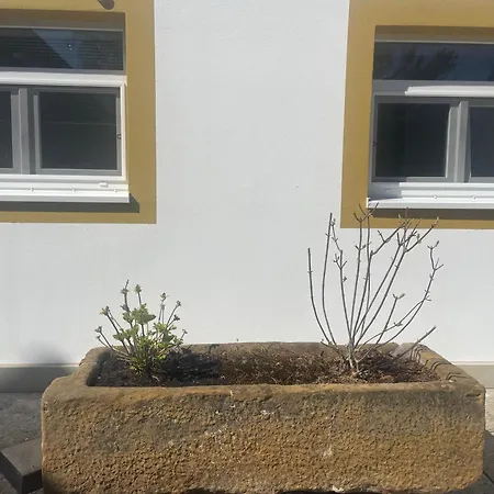 Geraeumige Mit Terrasse Halle (Westfalen)