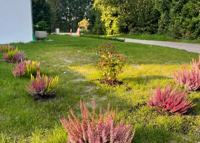 Appartement Geraeumige Mit Terrasse Halle (Westfalen)