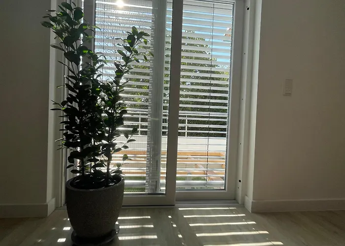 Geraeumige Mit Terrasse * Halle (Westfalen)