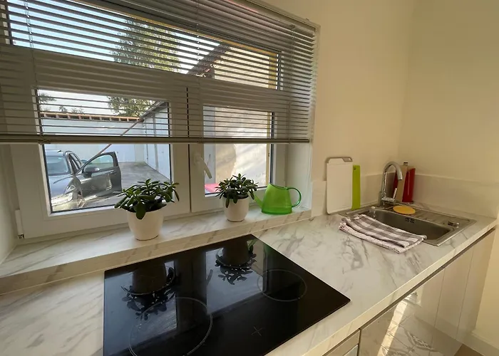 Geraeumige Mit Terrasse