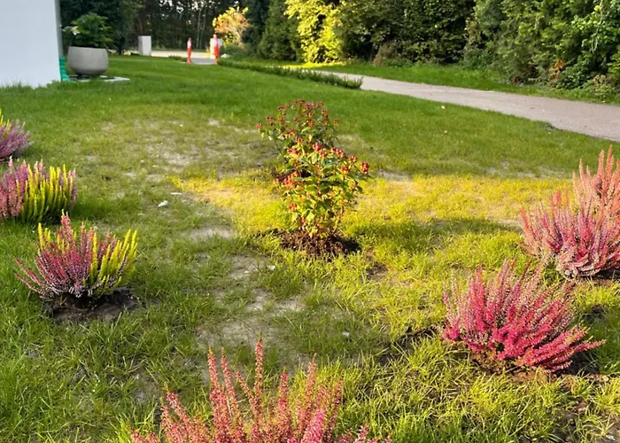 Daire Geraeumige Mit Terrasse *